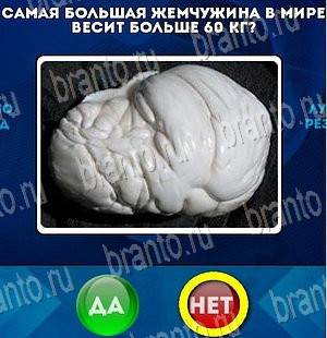 Да или Нет игра ответы Уровень 4103