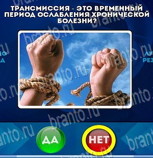 Игра Да или Нет подсказки Уровень 4108