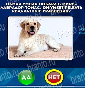 игра Да или Нет помощь Уровень 4139