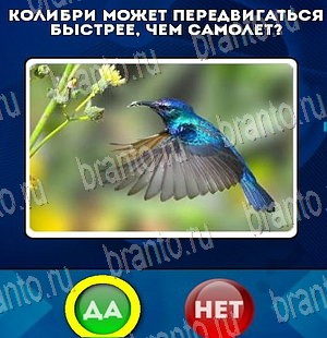 игра Да или Нет ответ на Уровень 4150