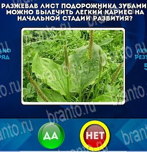 Да или Нет игра подсказки Уровень 4154