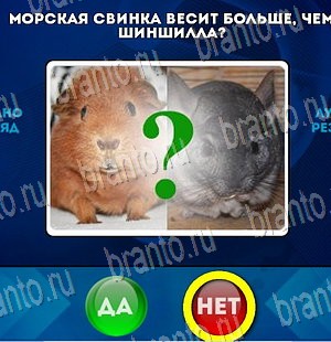 Помощь на игру ВК Да или Нет Уровень 4174