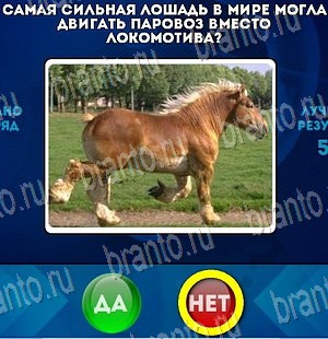 Да или Нет решения Уровень 4182