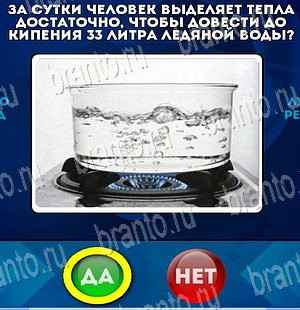 игра Да или Нет ответ на Уровень 4200