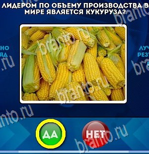 Подсказки на игру Да или Нет Уровень 4202