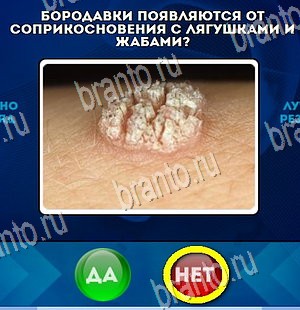 Да или Нет игра помощь Уровень 4215