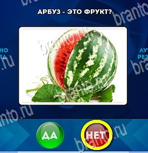 Игра Да или Нет ответы Уровень 4227