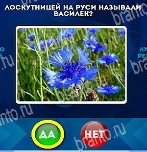 игра Да или Нет ответ на Уровень 4230