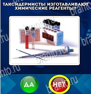 Подсказки на игру Да или Нет Уровень 4232