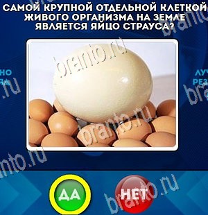 Да или Нет игра ответы в одноклассниках Уровень 4237