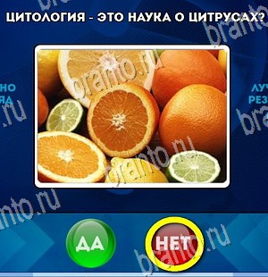 Одноклассники Да или Нет ответы Уровень 4238