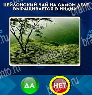 Да или Нет подсказки в контакте Уровень 4239