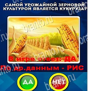 решебник на игру Да или Нет Уровень 4241