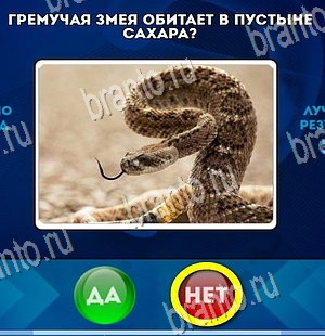 Игра Да или Нет ответы Уровень 4257