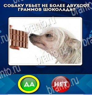 игра Да или Нет помощь Уровень 4259
