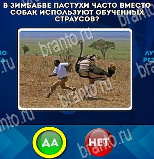 Помощь на игру ВК Да или Нет Уровень 4264