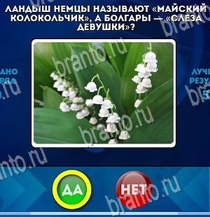 Да или Нет игра подсказки Уровень 4274