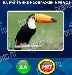 Да или Нет игра ответы Уровень 4283