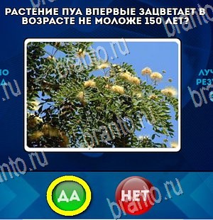 ответы к игре Да или Нет Уровень 4295