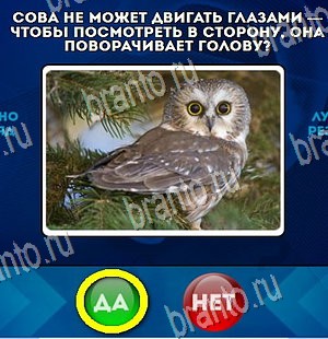 решебник на игру Да или Нет Уровень 4301