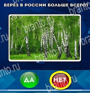 Да или Нет игра ответы Уровень 4313
