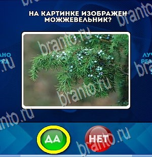 Игра Да или Нет ответы Уровень 4317