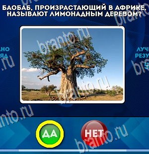Подсказки на игру Да или Нет Уровень 4322