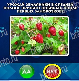 Одноклассники Да или Нет ответы Уровень 4328