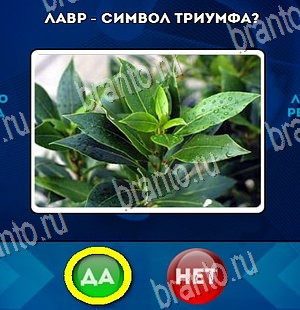 ответы на игру Да или Нет в одноклассниках Уровень 4351