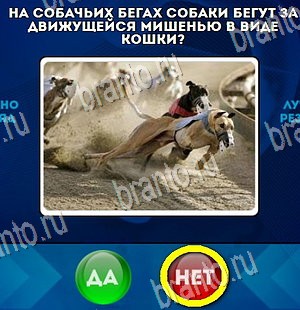 Решения на игру Да или Нет Уровень 4353
