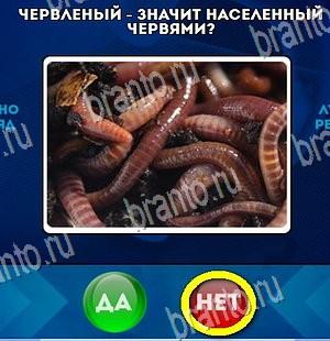 Да или Нет решения Уровень 4362