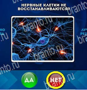 Игра Да или Нет подсказки Уровень 4378