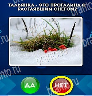 Подсказки на игру Да или Нет Уровень 4382