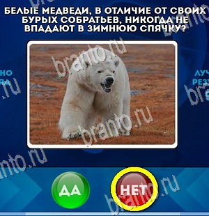 Да или Нет игра ответы Уровень 4393