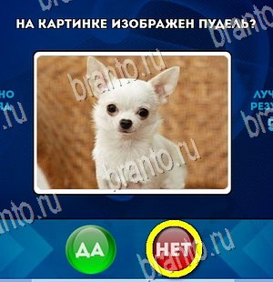 Да или Нет игра помощь Уровень 4395
