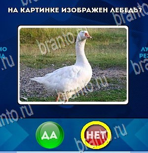 игра Да или Нет помощь Уровень 4399