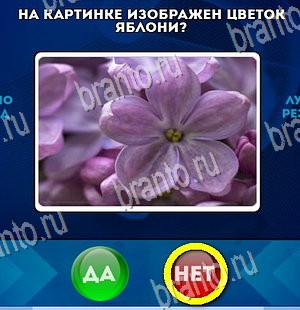 Да или Нет ответы в картинках Уровень 4406