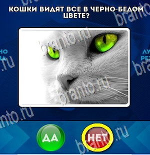 ответы на игру Да или Нет в одноклассниках Уровень 4411