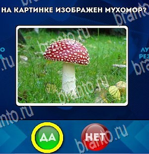 ответы к игре Да или Нет Уровень 4415