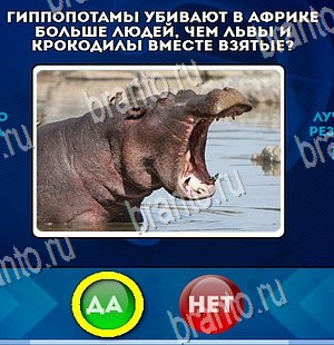 Да или Нет игра ответы в одноклассниках Уровень 4417