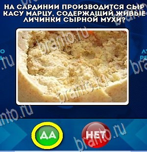 игра Да или Нет ответ на Уровень 4420