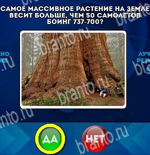 Да или Нет игра подсказки Уровень 4424
