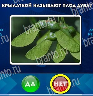 Игра Да или Нет ответы Уровень 4427