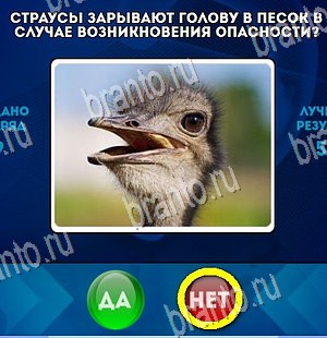 игра Да или Нет помощь Уровень 4429