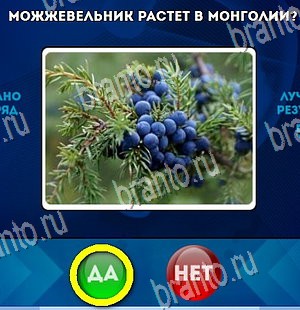 Решения на игру Да или Нет Уровень 4443