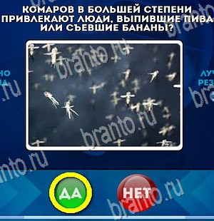 Да или Нет игра ответы Уровень 4453