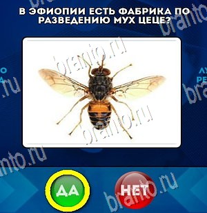 игра Да или Нет помощь Уровень 4459