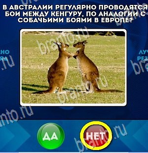 Игра Да или Нет подсказки Уровень 4468