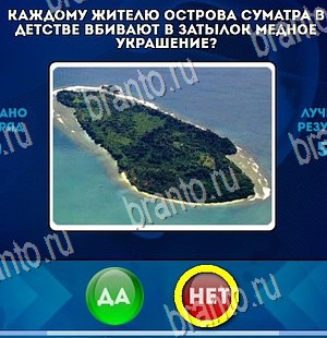 игра Да или Нет ответ на Уровень 4480