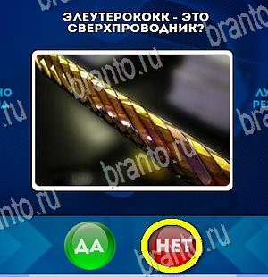 Да или Нет ответы в картинках Уровень 4486